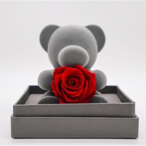 Quality Valentine'S Day Everlasting Rose Bear With Gift Box For Wife / Girlfriend / Mother wholesale