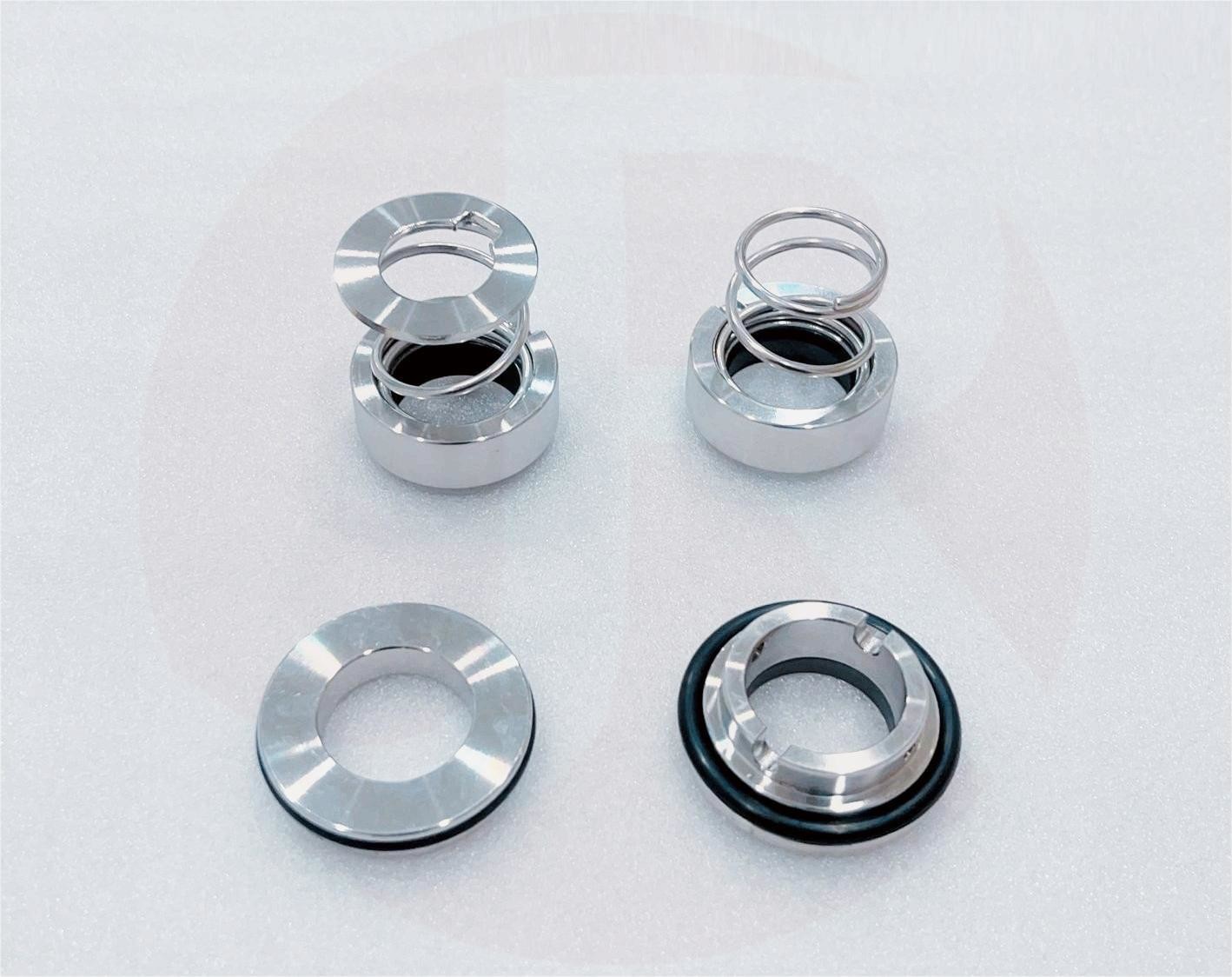 Mechanical Seal Fristam Seal 22MM Aesseal T01F