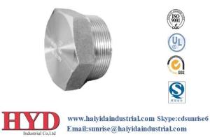 Quality Forged Fittings stainless steel fitting Bushing wholesale
