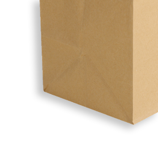 Recyclable Kraft Paper Bags With Handles Offset Printing Simple Design
