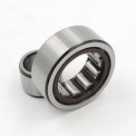 NJ202ECP Cylindrical Roller Bearing NJ202ECP Size 15*35*11mm