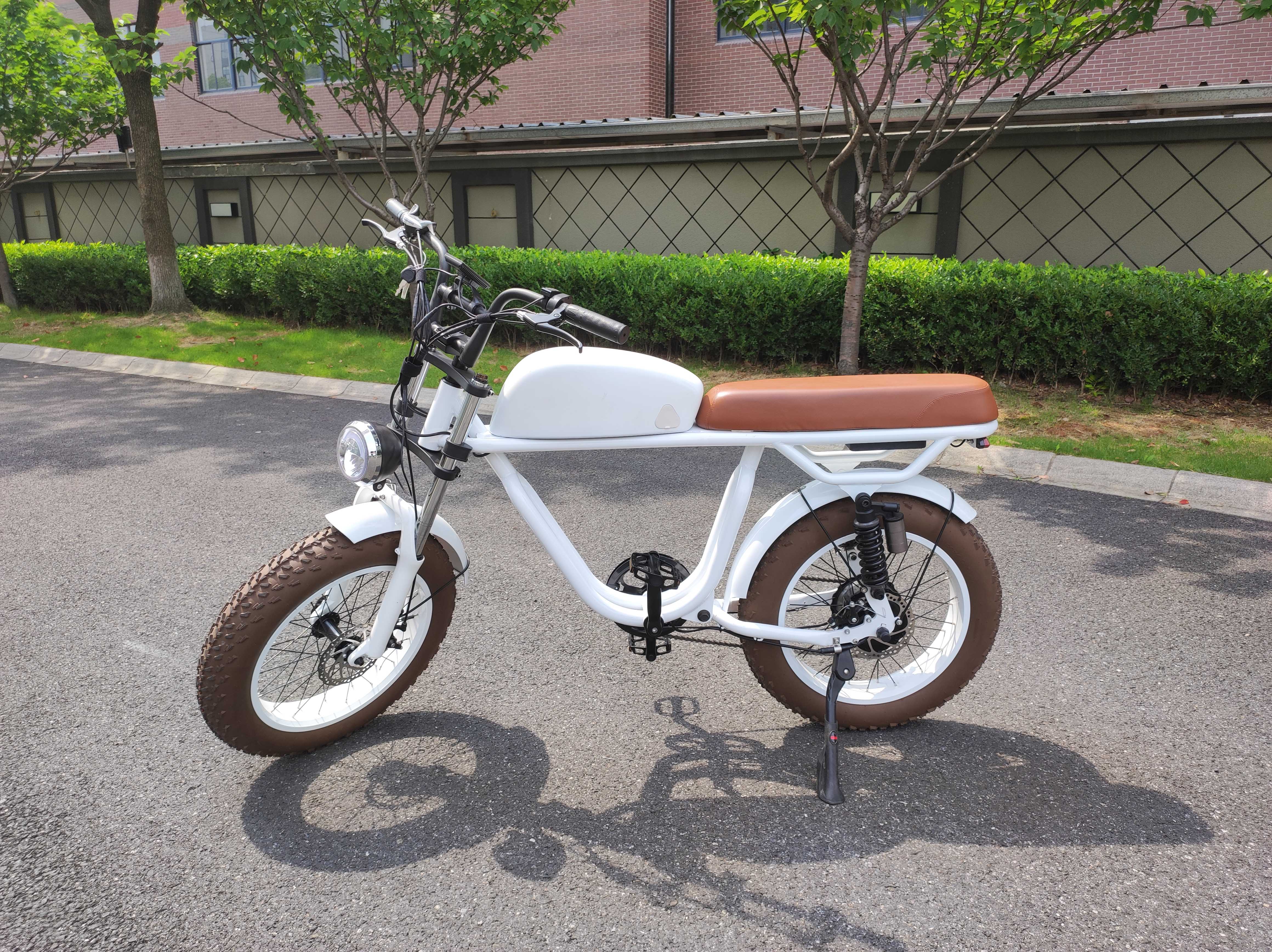 LCD Display Electric Bike with 48V Battery 750W 1000W Motor 7 Speed and Vintage Style