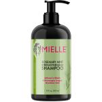 12 Oz Biotin Infused Moisture Shampoo Rosemary Mint For Hair Loss Regrowth ODM