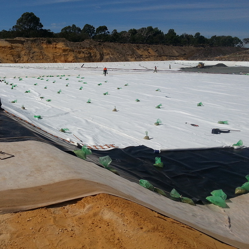 Geomembrane Pond Liner 0.5mm 1mm 1.5mm 2mm HDPE LDPE Lldpe PVC EVA Geomembrane Pond Liner