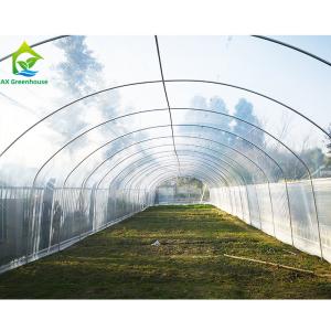 Quality Agricultural Polytunnel Commercial Hydroponic Greenhouse For Mushroom Cultivation wholesale