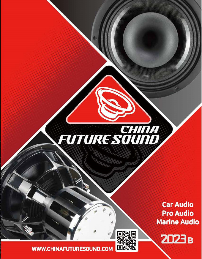 High Atmor coating subwooer box pro woofer box wooden box PDF box