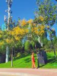 High Gain 2G 3G 4G Repeater Antenna For Waterproof Outdoor Amplification