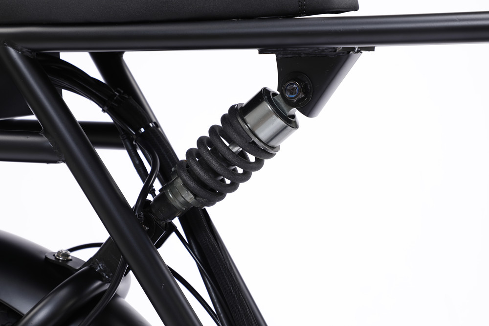48V 750W Motor Electric Hybrid Bike Full Suspension 20 Inch Fat Tire Ebike 17Ah Battery