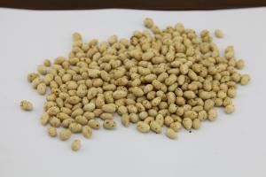 Quality Kosher Certified Sunflower Seeds Snack , Roasted Sunflower Kernels Delicious Flavor wholesale