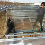 4m Section Polycarbonate Greenhouse for Vegetable Fruits and Flowers Commercial
