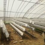 Strawberry Hydroponic Growing System Vertical Planting Cultivation PVC Gutter