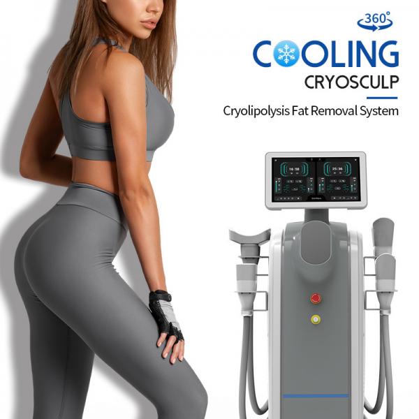 Cheap Non Invasive Cryolipolysis Weight Loss Machine Cellulite Treatment Machine for sale