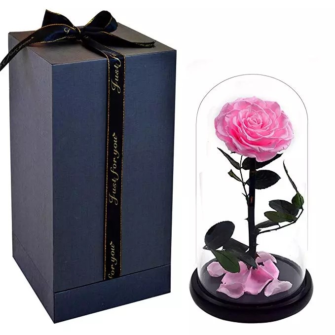 Hot Selling Preserved Rose with Glass Dome Mini Artificial Flowers Preserved Flowers for Valentines day Gifts