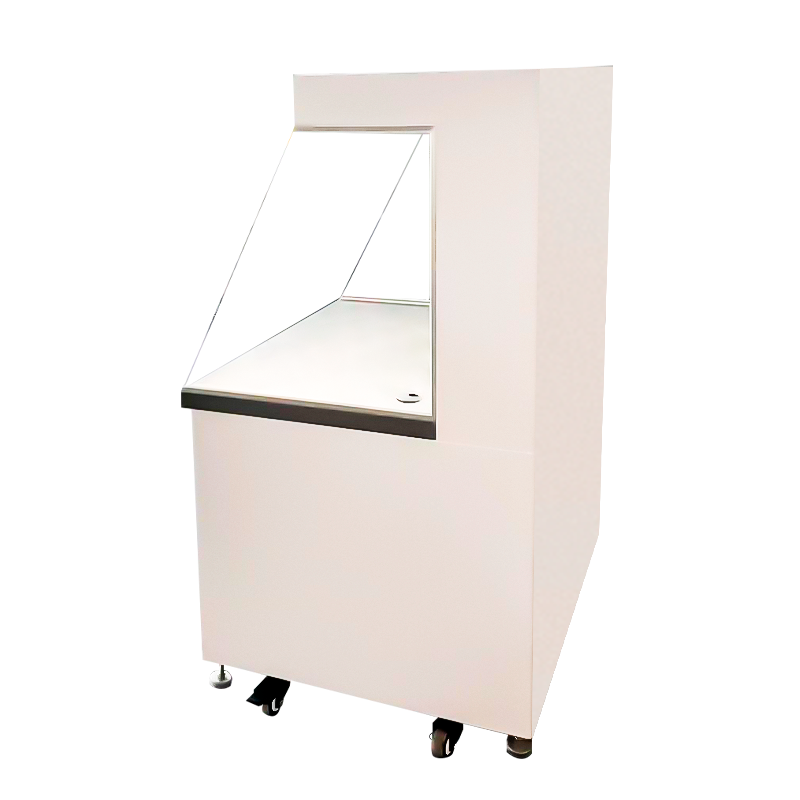 Straight Small Laminar Flow Hood Clean Bench SS 304 Mini Laminar Flow Cabinet