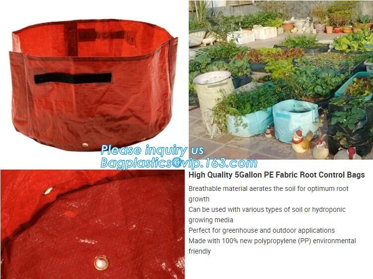 100 /200/300 gallon tan tree grow bag 100gallon grow bag for plant trees,vegetables grow bags planting bags growing bags