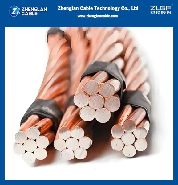 ODM OEM High Conductivity Copper Clad Steel Earth Ground Wire 16mm 25mm 35mm