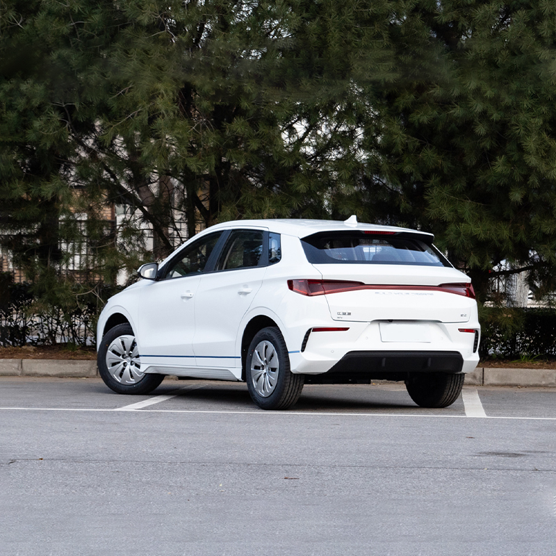 2023 Energy Electric Vehicle High Speed Adult Electric Car Made In with Fast Charge 0.5h 80% Lithium Iron Phosphate Battery