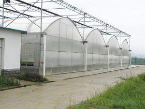 Quality Double Layer Dutch Bucket Commercial Hydroponic Greenhouse For Tomato Planting wholesale