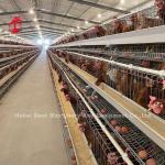 High Resilience Layer Cage System Hot Galvanized Low Carbon Steel In Africa