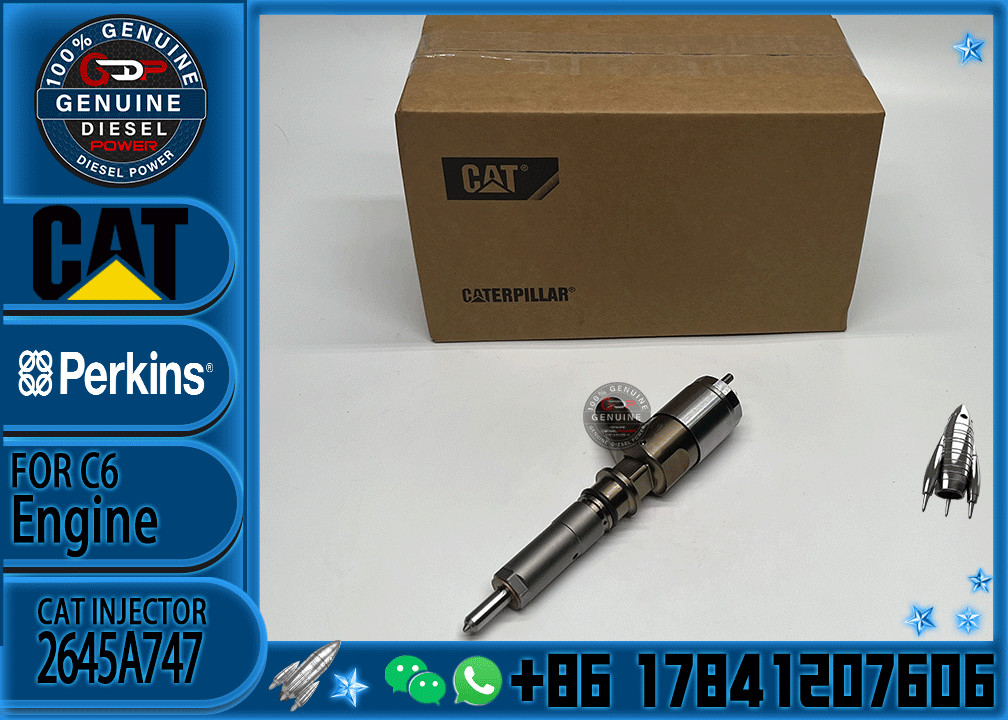 Cat engine parts 320d injector 3200680 320-0680 2645A747 for caterpillar c6.6 injectors