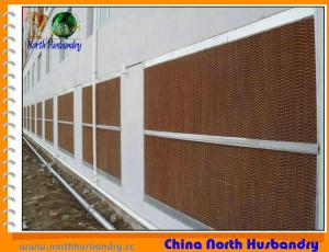 Quality 2013 Best Selling Greenhouse/Poultry House Evaporative Cooling Fan wholesale