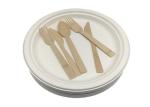 10" 20g Bar Biodegradable Sugarcane Bagasse Plates