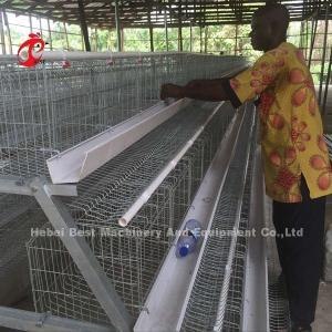 Quality Deluxe 120 Birds Poultry Battery Cage System 5 Cells Galvanized Doris wholesale