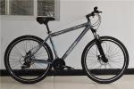Made in China CE standard 29 inch steel 21 speed mountain bike MTB bicycle