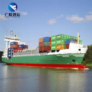 Quality LCL Sea Freight Forwarder China To NZ Boston Wellington Auckland Hamilton wholesale