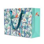 Promotional LOGO Ribbon Handle Paper Reusable Shopping Bag