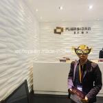 Hotel Usage 3D Board Acoustic Sound Fireproof PVC Wall Board for Furniture