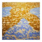 Wall To Wall Luxury Wool Carpet