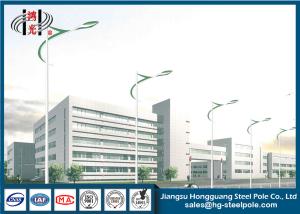 Quality Q345 Steel Light Pole Single Arm 8M Lamp Post For Garden With Colorful Painting wholesale