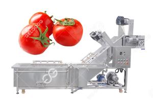 Quality Industrial Fruit Bubble Washing Machine Tomatoes Pepper Bubble Washer for Fruit and Vegetable wholesale