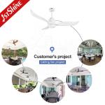 Fancy DC Motor Silent Household 3 Plastic Blades Ceiling Fan Led Light