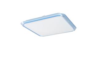 Quality Fluorescent Ceiling Lights FOR Residential Lighting Fixtures wholesale