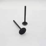 6D16T Cylinder Exhaust Valve