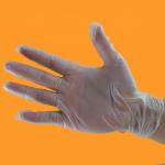 Medical Vinyl Examination Gloves Non Sterile Latex Free Strong Tensile Strength