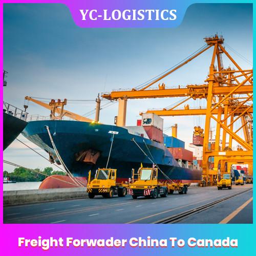 Cheap FOB EXW China To Canada Freight Forwarder From Shenzhen To Worldwide  , DDU Sea Freight Forwarding Services for sale