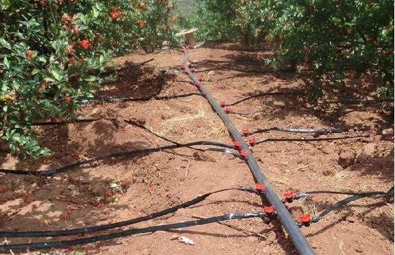 Low Cost Agricultural Tunnel Greenhouses with Greenhouse Hydroponics System