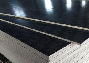 Quality Outdoor Construction Shuttering Plywood Boards Large Format 2440mm X 1220mm wholesale