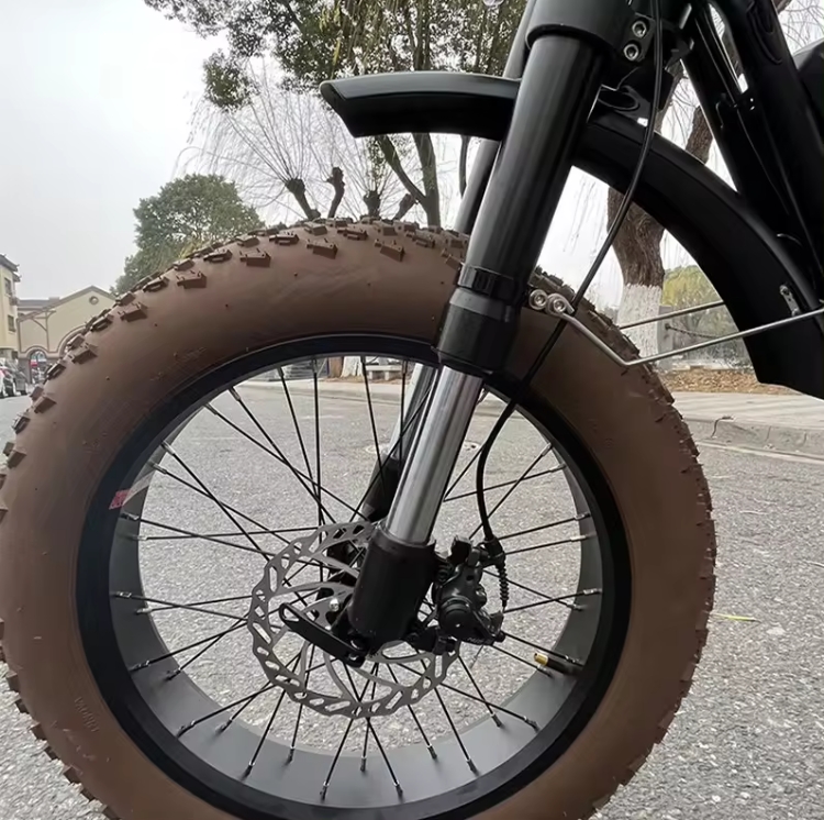 20 Inch Fat Tire 73 Style Ebike 7 Speed Electric Mountain Bike 48V 500W 750W 1000W Retro Full Suspension Electric Bike