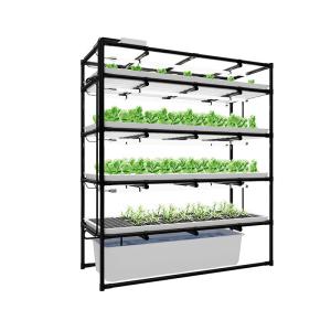 Quality OEM ODM 5 Layer Coated Steel Indoor Vertical Farms With Led Grow Light wholesale