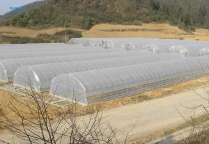 Quality Hot Dip Galvanized Area Ecological Agricultural Greenhouse Plastic Film Greenhouse wholesale