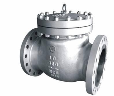 Swing Check Valve