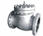 Swing Check Valve
