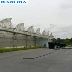 Reinforced Plastic Sheeting Greenhouse For Tropical Climate Prefabricated