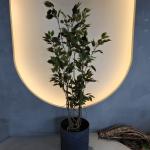 Insect Resistant Artificial Plants Indoor Artificial Green Walls 150CM