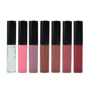Quality Natural Liquid Glossy Vegan Nude Private Label Makeup Lip Gloss wholesale