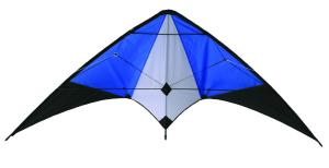 Quality Classic style outdoor Delta sports kite colorfully with common size wholesale